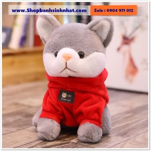 Gấu Bông Teddy Hàn Quốc - GAU54
